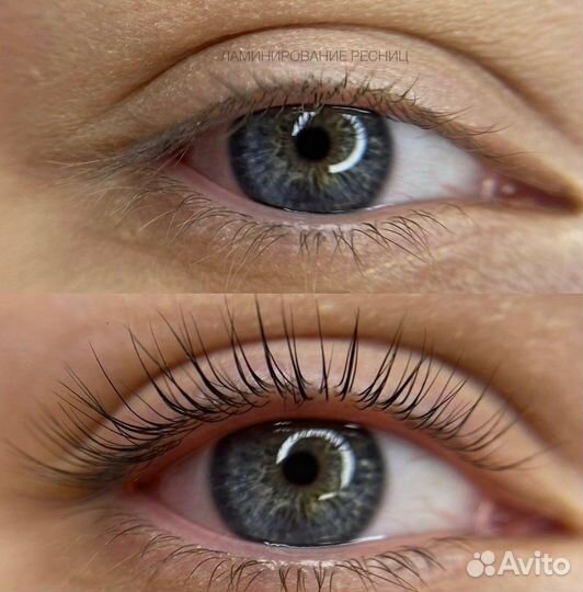 Мастер бровист