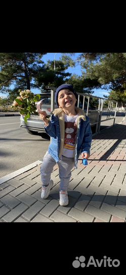 Пакет вещей на мальчика 104 3-4 года куртка жилет