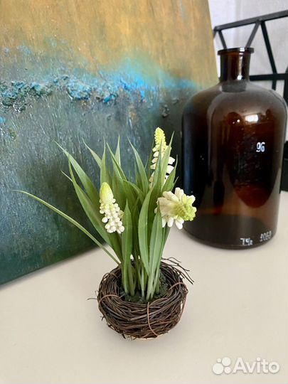 Цветы первоцветы реалистичные мускари