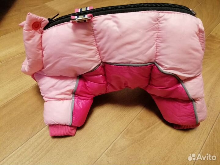 Одежда для маленькой собаки