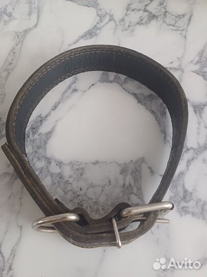 Аксессуары для собак