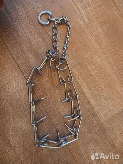 Строгий ошейник для большой собаки