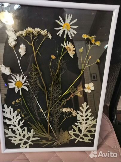Мой гербарий цветы и травы