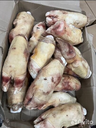 Копыта говяжьи