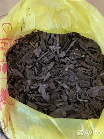 Набор для посадки орхидеи