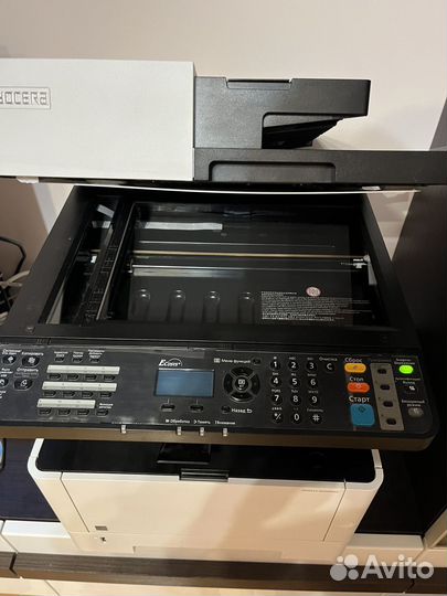 Мфу kyocera ecosys m2040dn