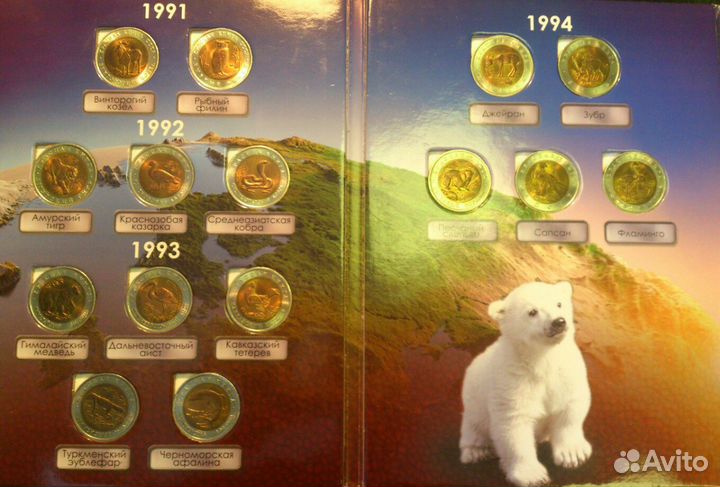 Красная Книга, Барселона, Молодая Россия, Мерв