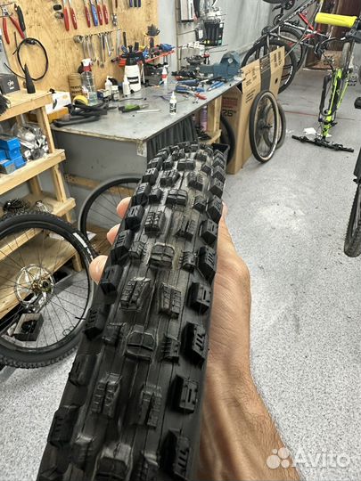 Покрышка maxxis asegai 29 2.5