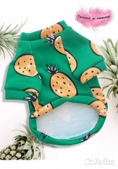 Новая толстовка на собаку