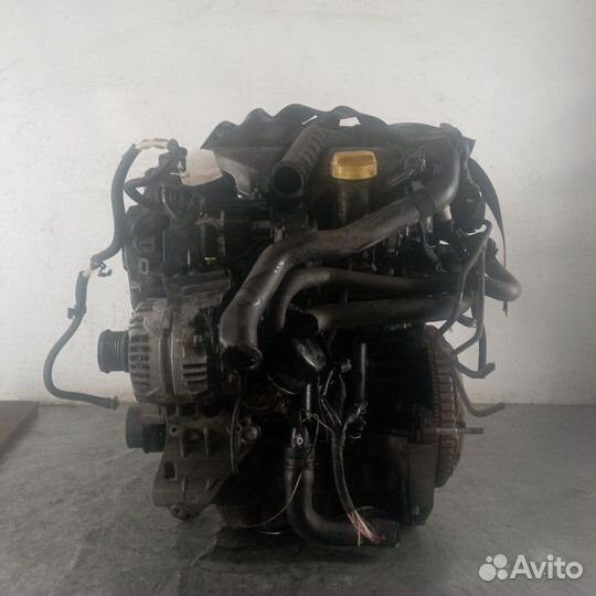 Двигатель Renault Clio 3 K9K 2009-2013