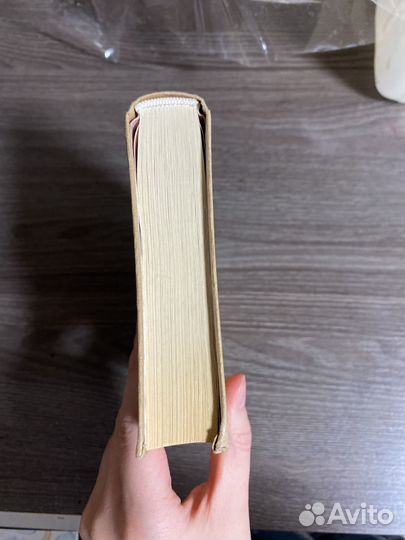 Шестнадцать деревьев Соммы. Ларс Миттинг