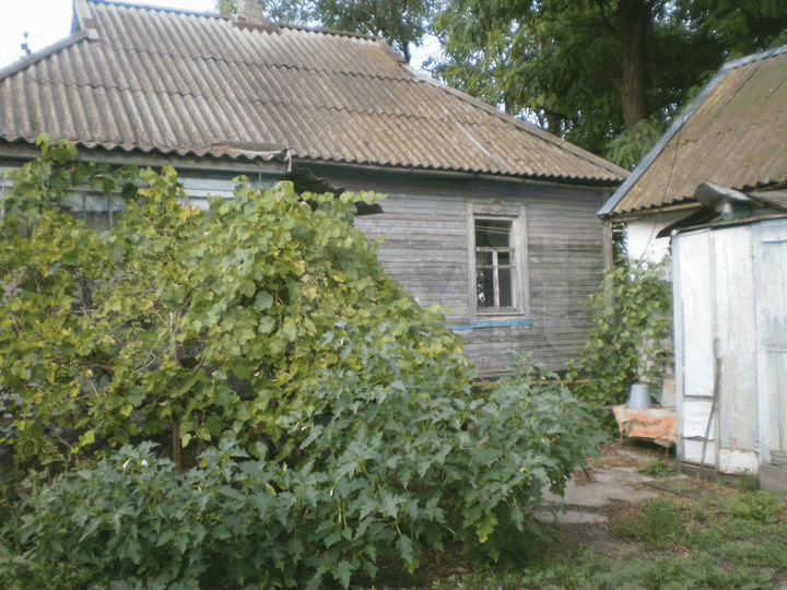 Дом 36 м² на участке 15 сот.