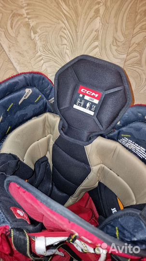 Хоккейные шорты ccm as-v pro