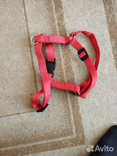 Поводок рулетка и другое для собак крупной породы