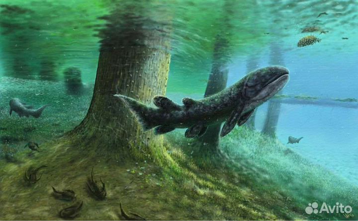 Чешуйки рыбы. Пермский период.Окаменелость