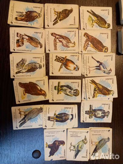 Этикетки спичечные СССР коллекция