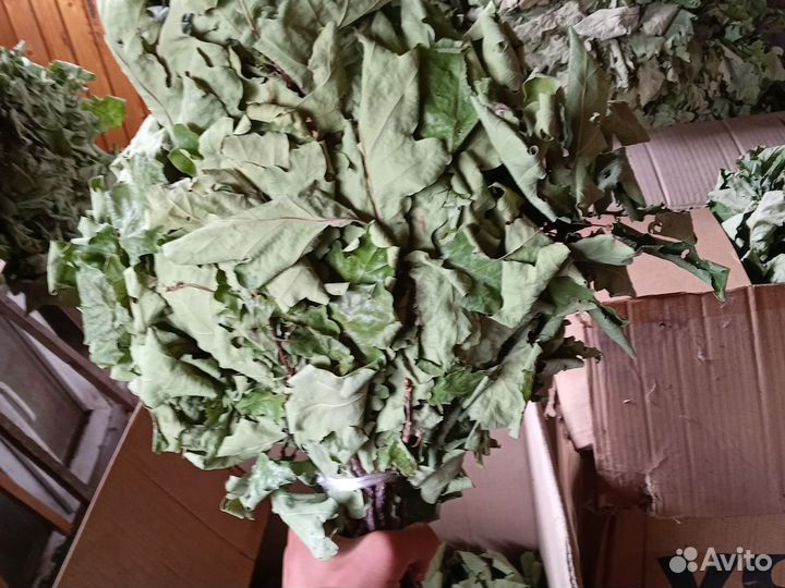 Банные веники