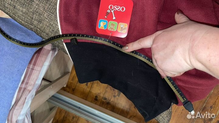 Костюм для крупной собаки девочки (бладхаунд и +)