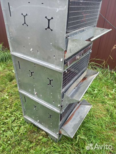 Перепелиные Клетка