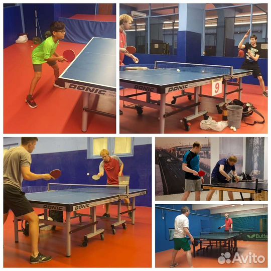 Тренер по настольному теннису (спарринг)
