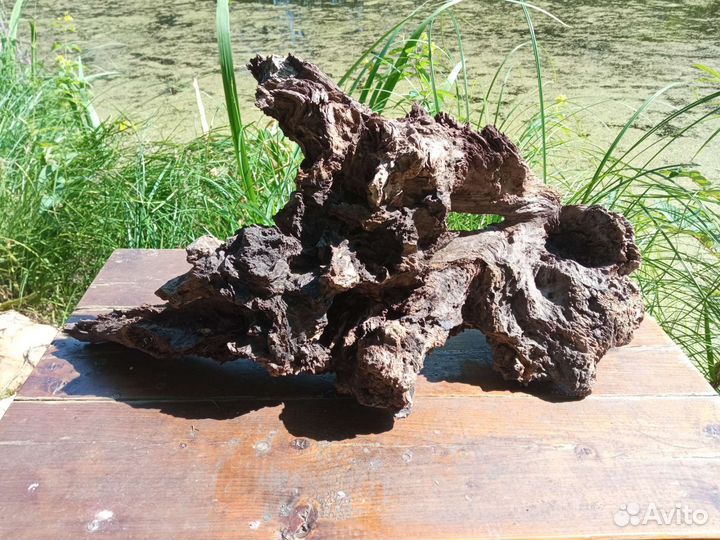 Коряга для террариума или декора дома и офиса