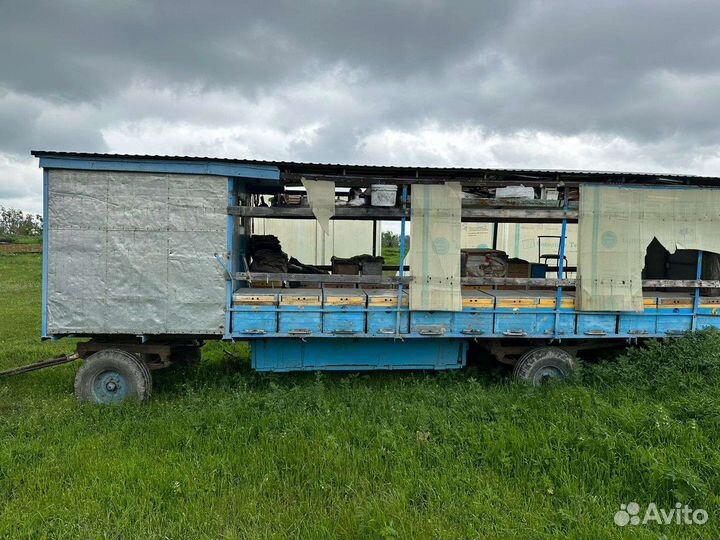 Павильон с пчёлами