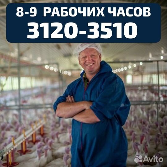 Рабочий вакцинатор, выезд бесплатный, вахта