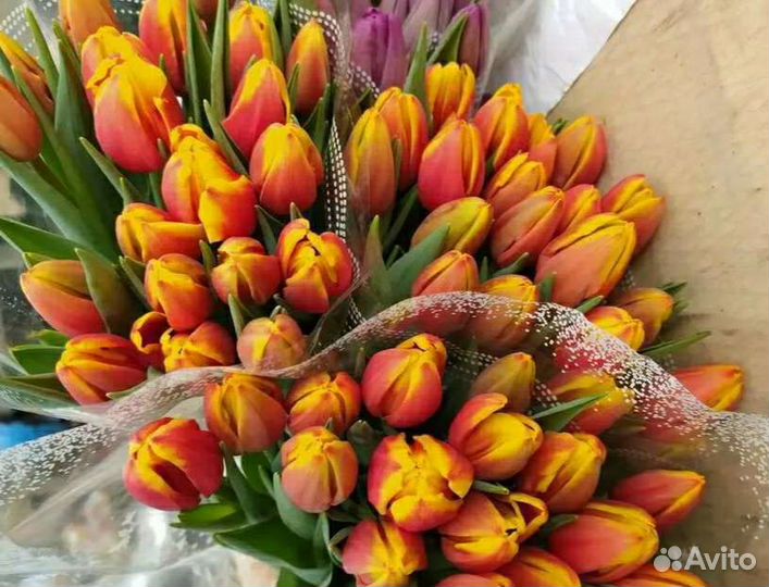Тюльпаны к 8 марта оптом