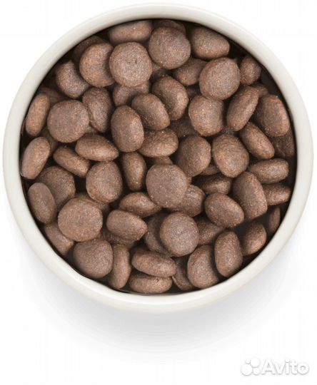 Корм для крупных собак PR Adult Turkey Max 3 кг