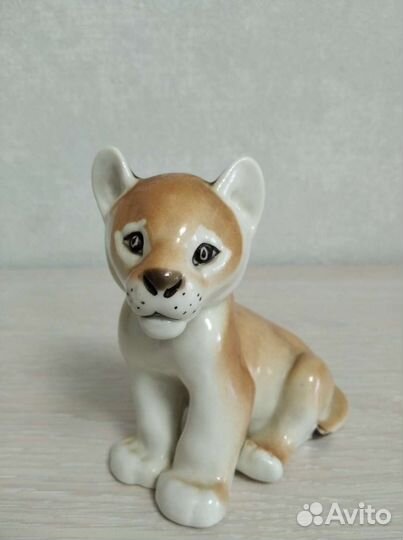 Львенок лфз