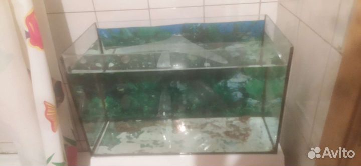 Аквариум