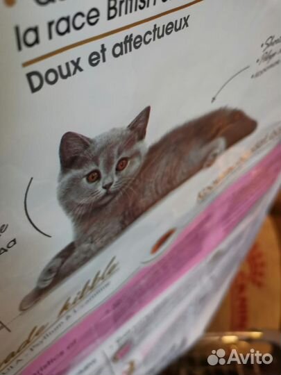 Корм royal canin 2 кг для британских котят