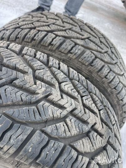 Tigar Winter 195/55 R15