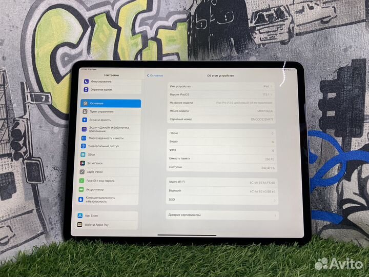 iPad Pro 12.9 2020 256GB