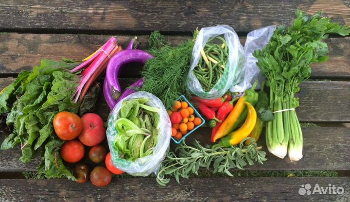 Конский Навоз. Навалом и в мешках. Доставка