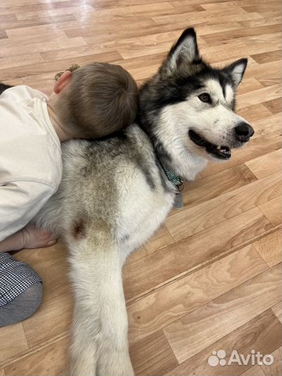 Консультация психолога