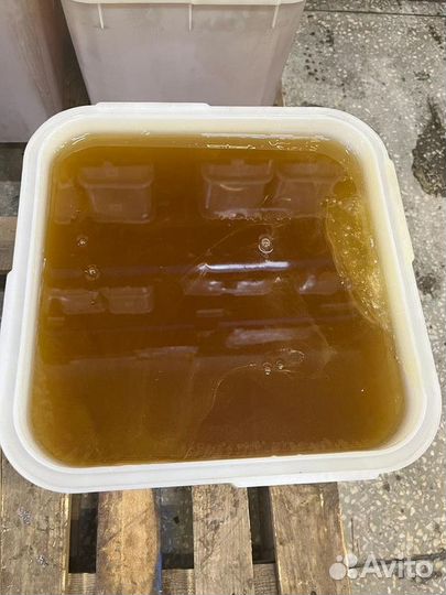 Эспарцетовый мед оптом