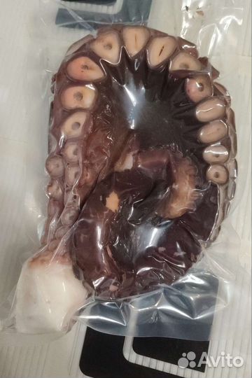 Продам осьминога