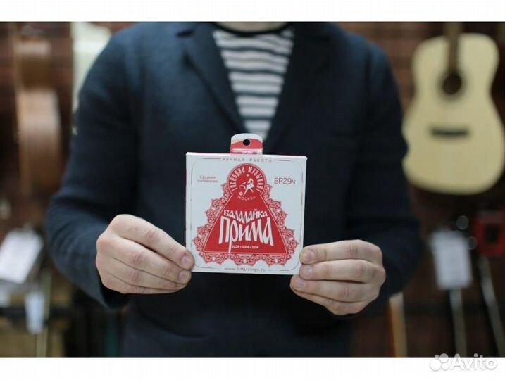 Господин музыкант BP29N profi 