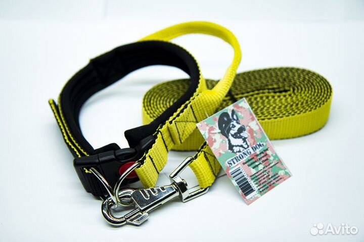 Амуниция для собак