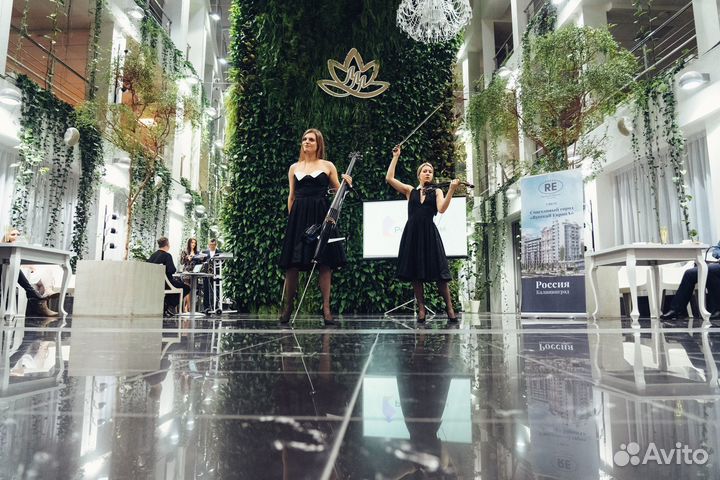 Свадебная регистрация