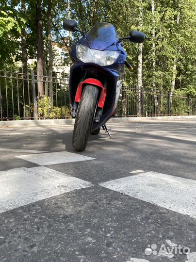 Honda cbr 929 rr