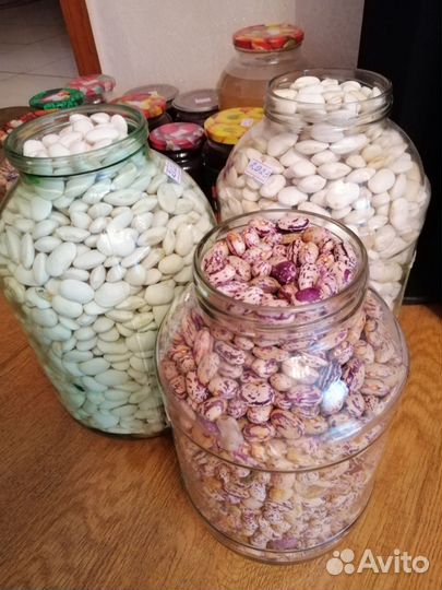 Продаю фасоль на посадку и на еду