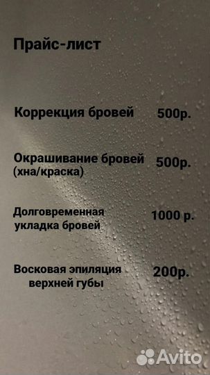 Мастер бровист