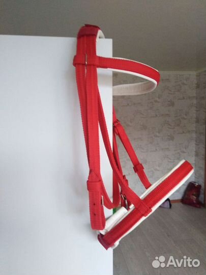 Уздечка для лошади