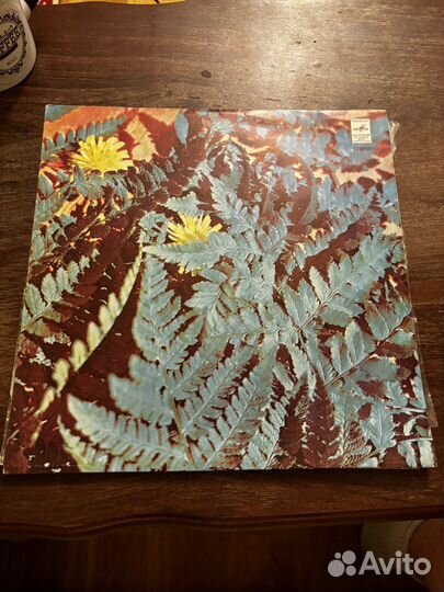 Виниловые пластинки