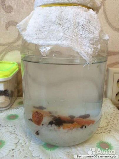 Индийский морской рис