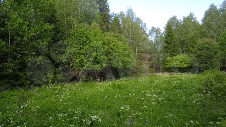 Участок 15 сот. (СНТ, ДНП)