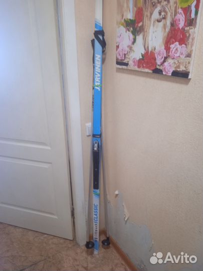 Беговые лыжи