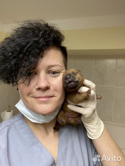 Ветеринарный врач на дом